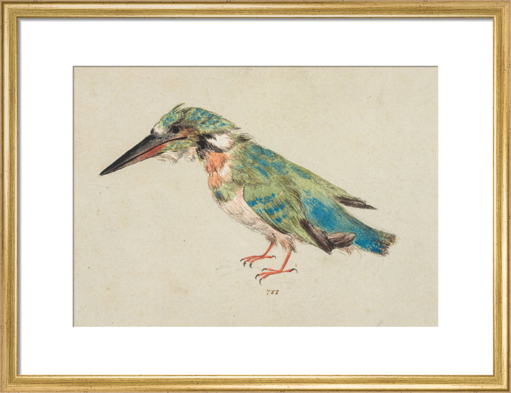 Kingfisher (art print, medium, gold)