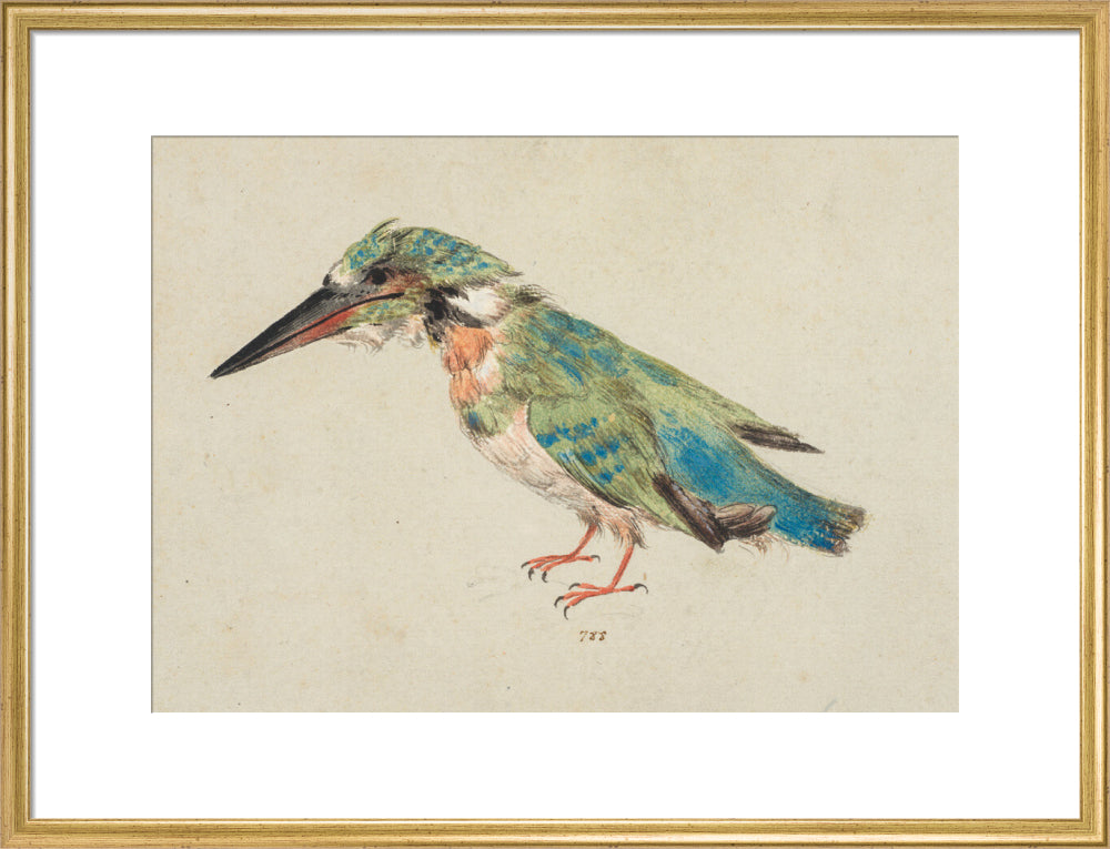 Kingfisher (art print, large, gold)