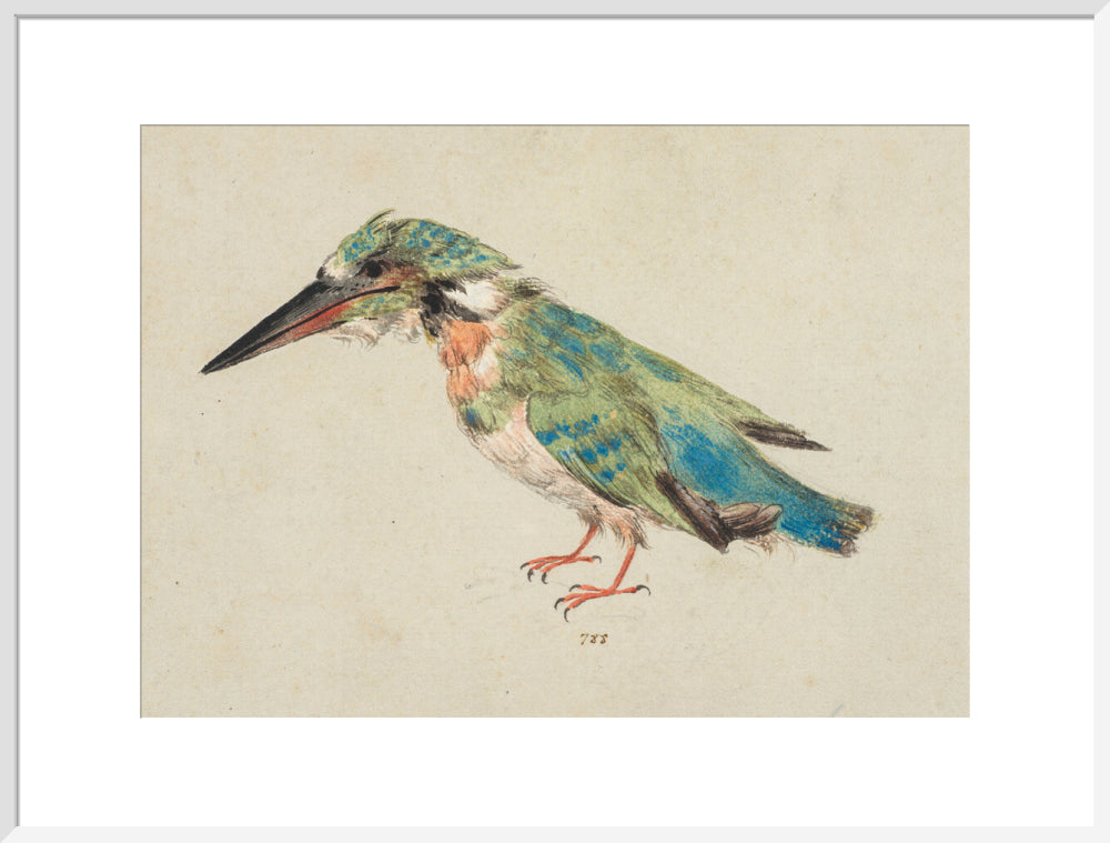 Italian School, Kingfisher