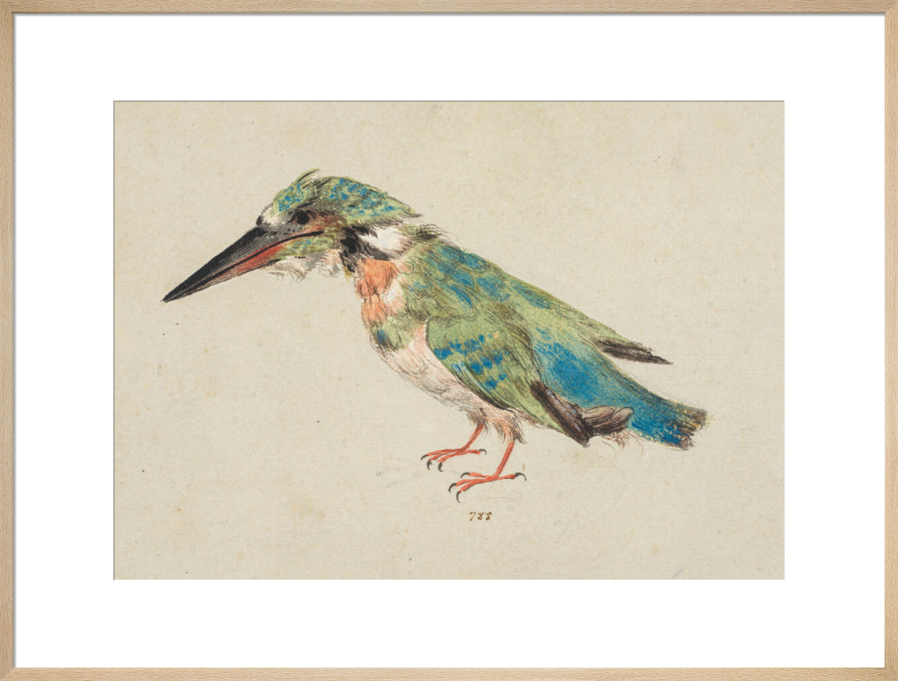 Kingfisher (art print, extra large, natural)