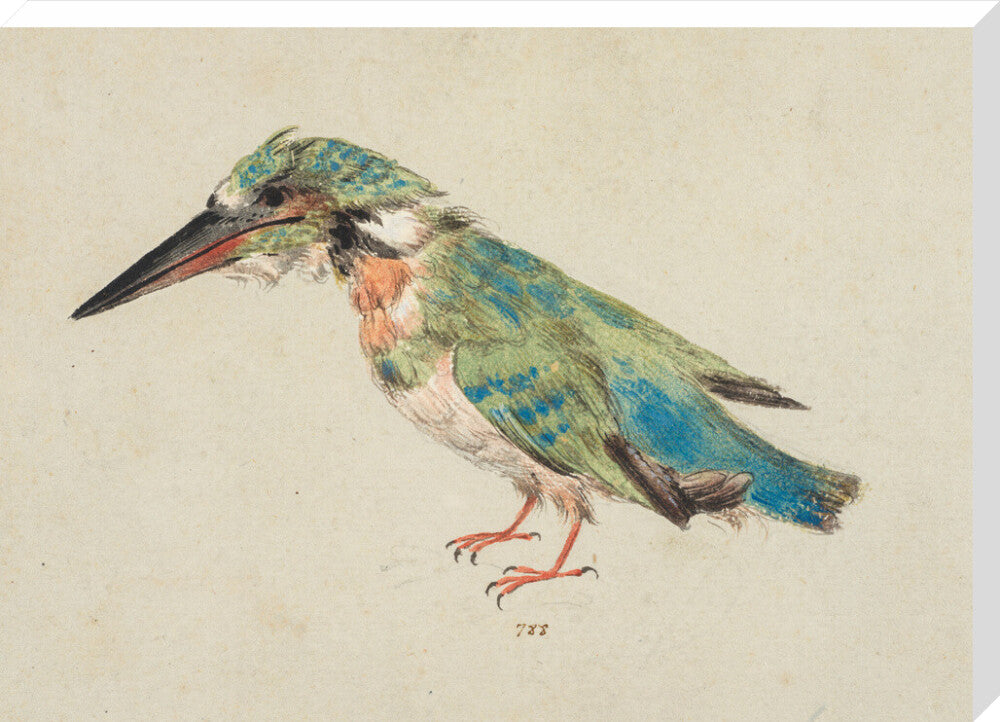 Kingfisher (stretched canvas, extra large, unframed)