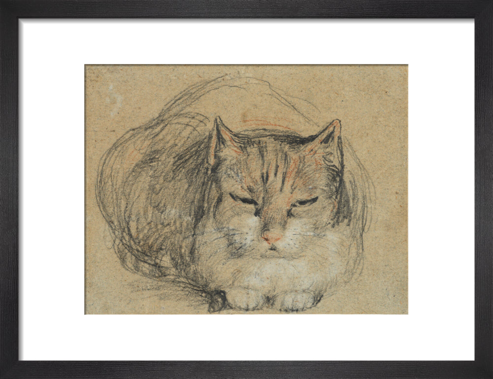 Cat - study for 'The Cut Finger' (art print, small, black)