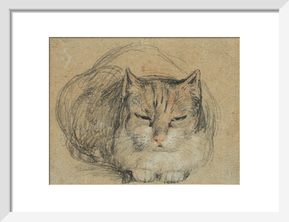 Cat - study for 'The Cut Finger' (art print, small, white)