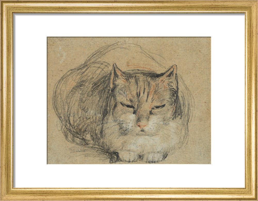 Cat - study for 'The Cut Finger' (art print, small, gold)