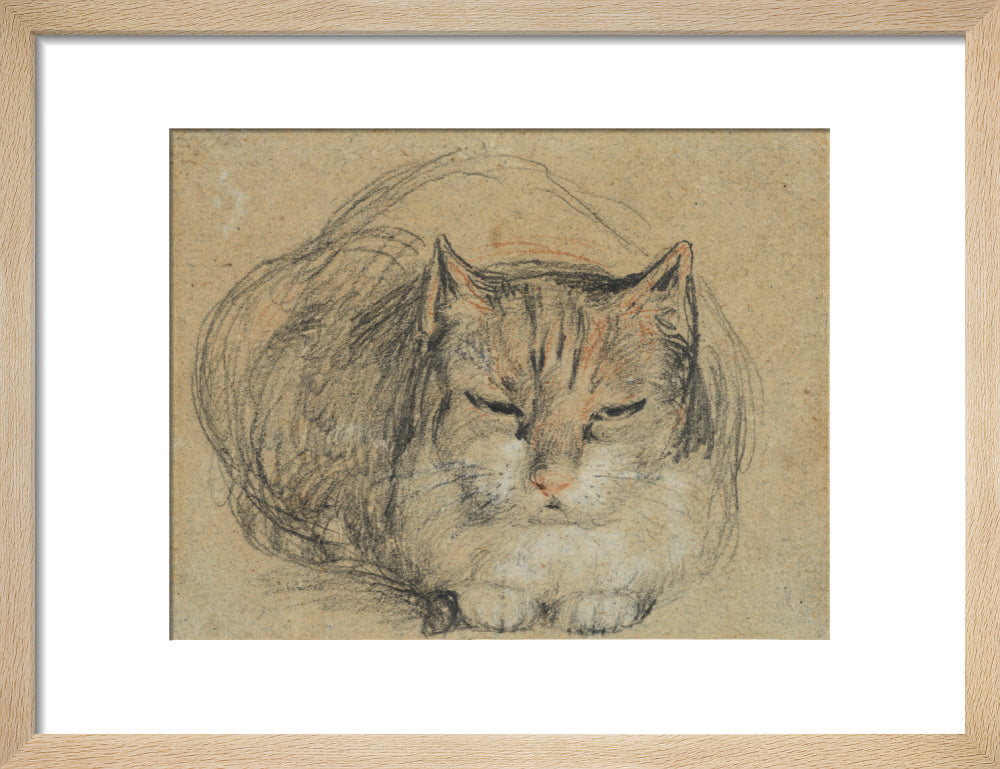 Cat - study for 'The Cut Finger' (art print, small, natural)