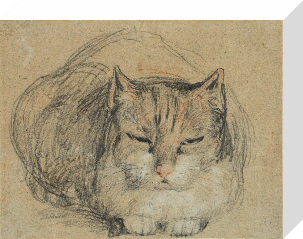 Cat - study for 'The Cut Finger' (stretched canvas, small, unframed)