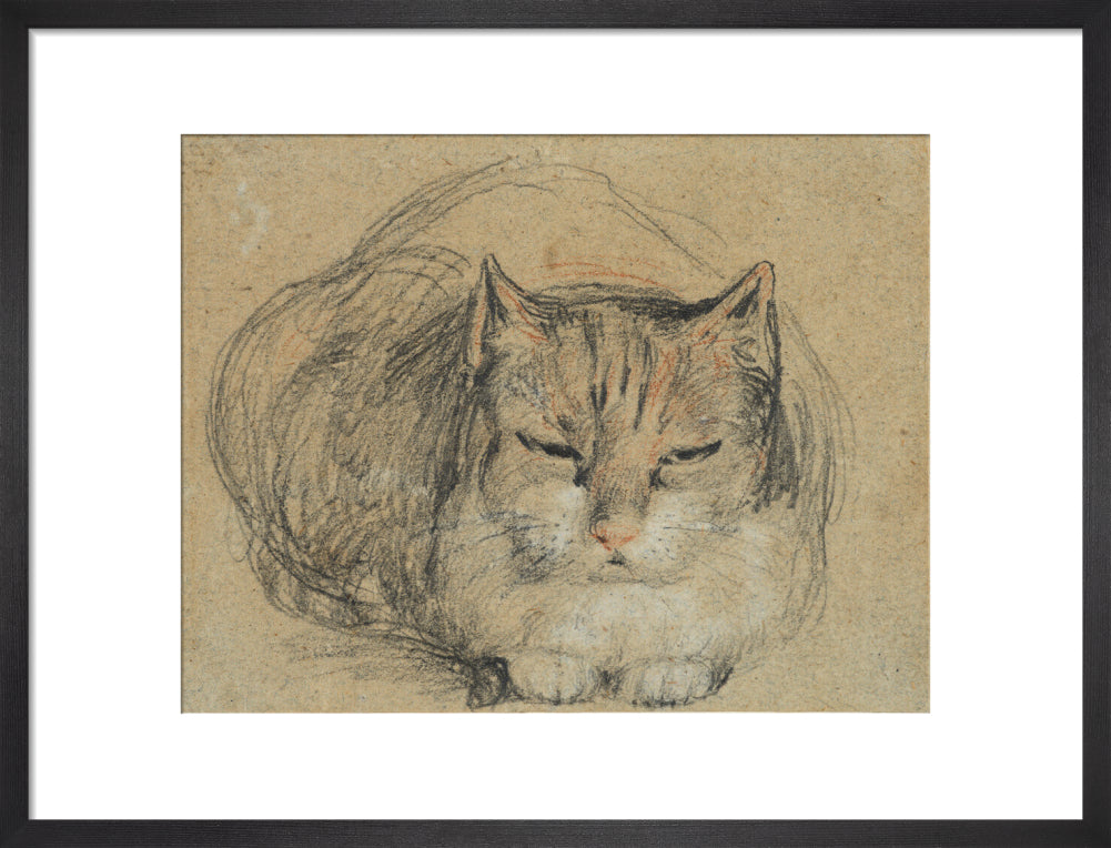 Cat - study for 'The Cut Finger' (art print, medium, black)