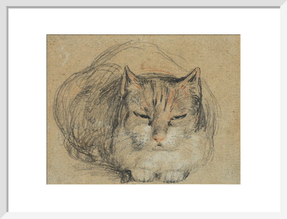 Cat - study for 'The Cut Finger' (art print, medium, white)