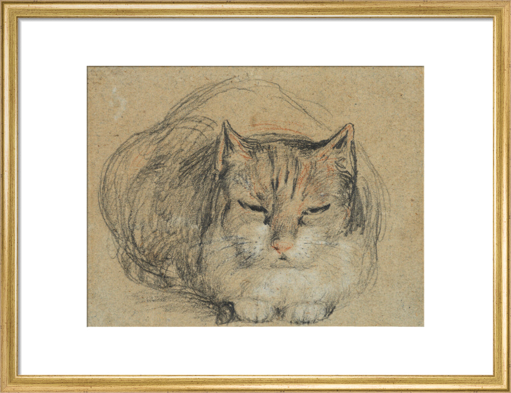 Cat - study for 'The Cut Finger' (art print, medium, gold)