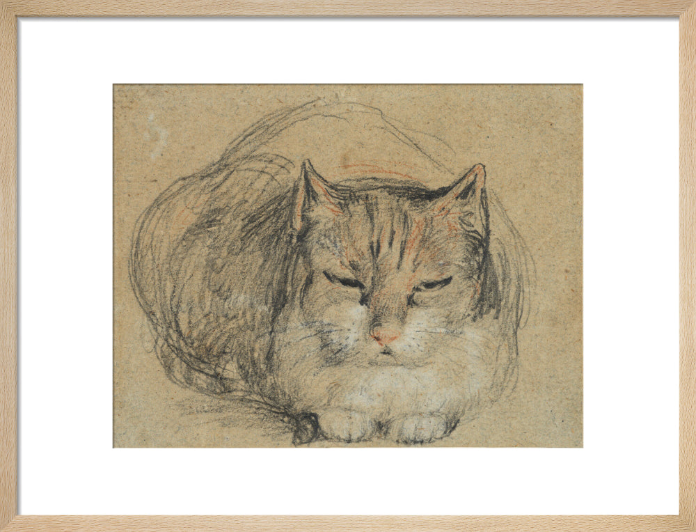 Cat - study for 'The Cut Finger' (art print, medium, natural)