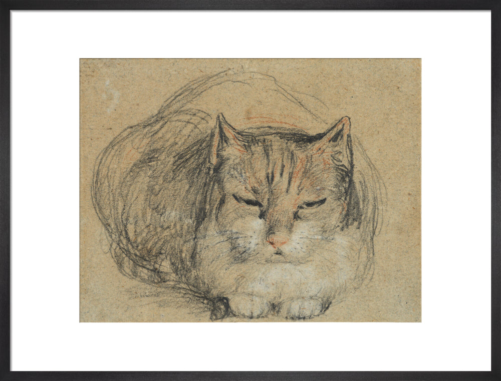 Cat - study for 'The Cut Finger' (art print, large, black)