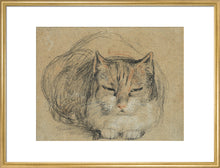 Load image into Gallery viewer, David Wilkie, Cat - study for &#39;The Cut Finger&#39;
