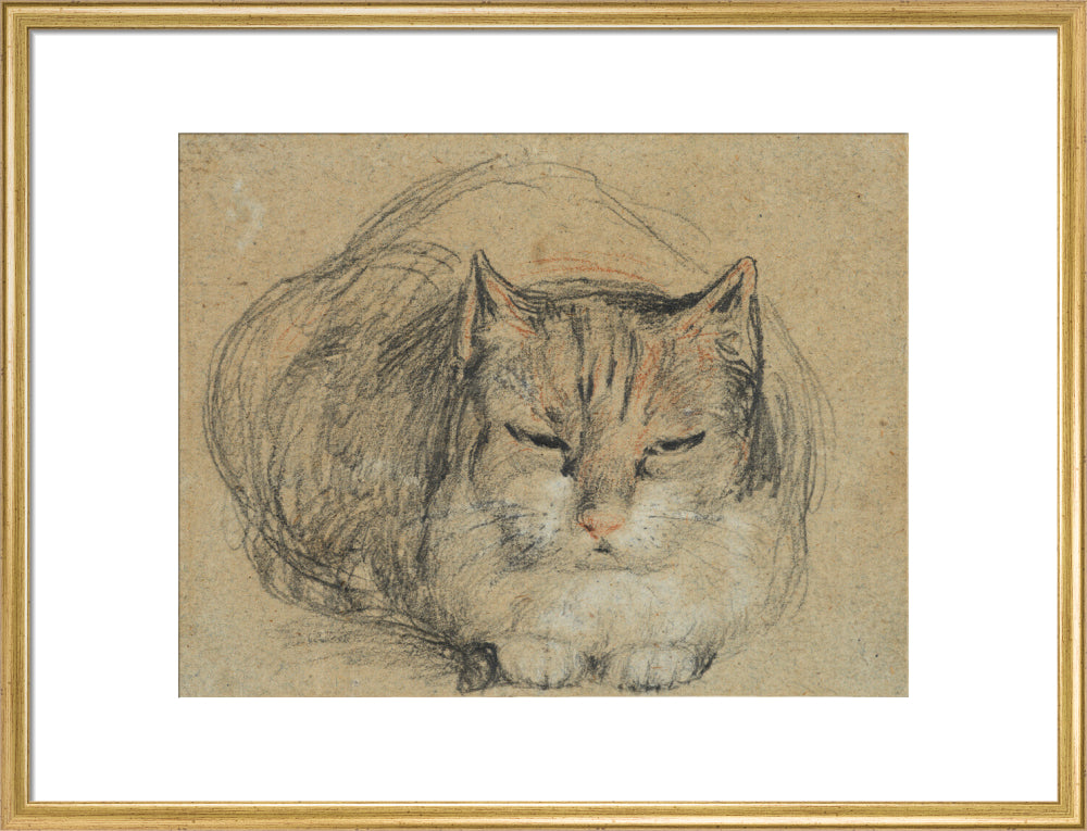 Cat - study for 'The Cut Finger' (art print, large, gold)