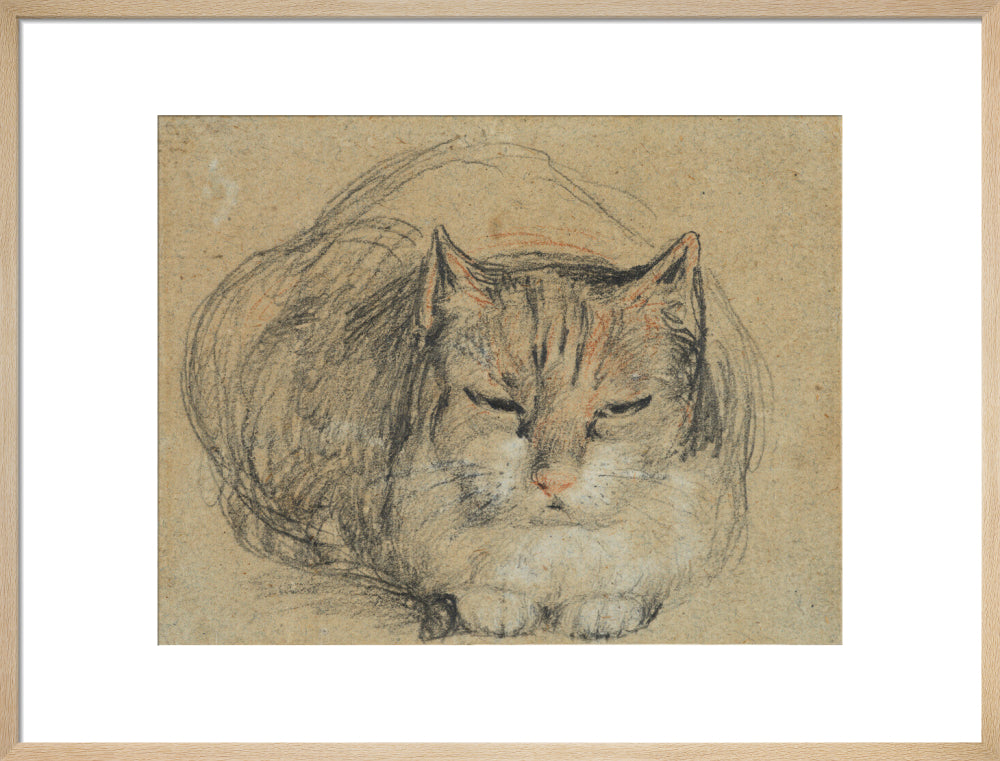 Cat - study for 'The Cut Finger' (art print, large, natural)