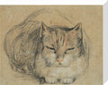 Cat - study for 'The Cut Finger' (stretched canvas, medium, unframed)