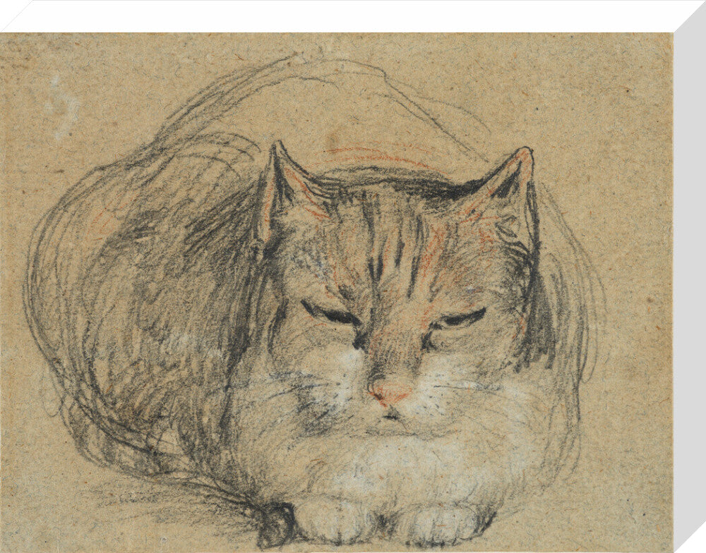 Cat - study for 'The Cut Finger' (stretched canvas, medium, unframed)