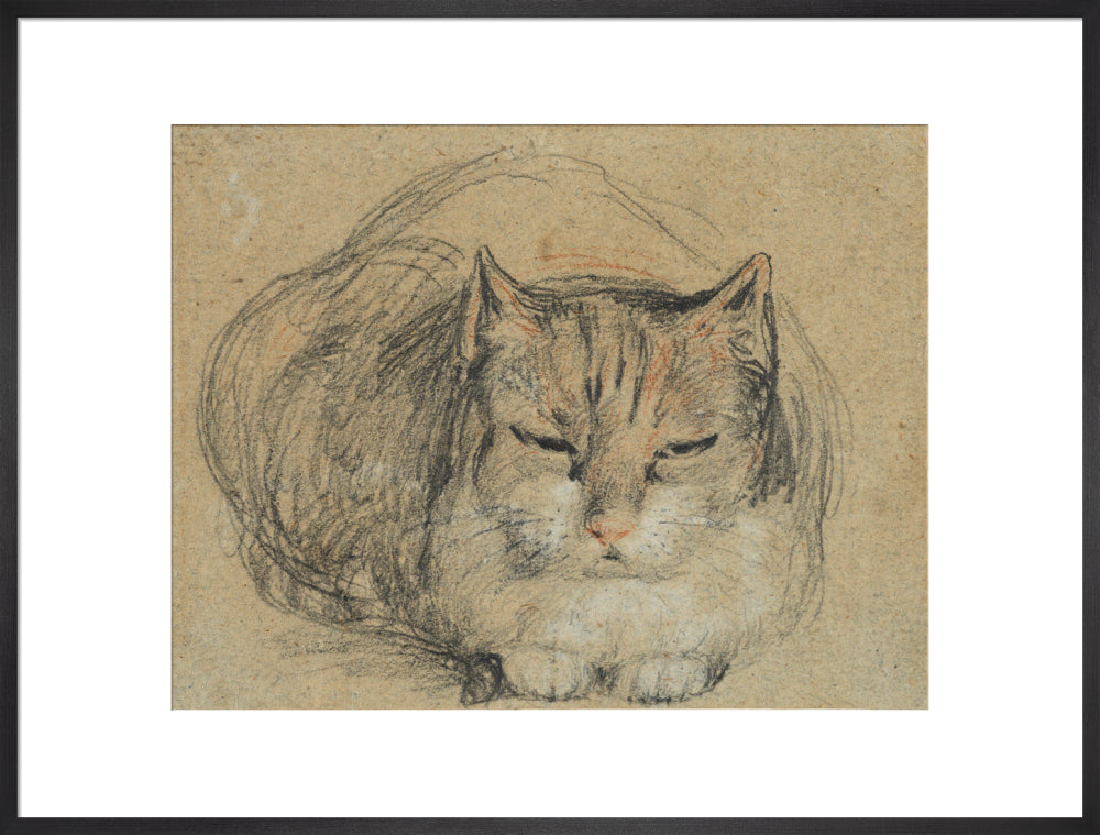 Cat - study for 'The Cut Finger' (art print, extra large, black)