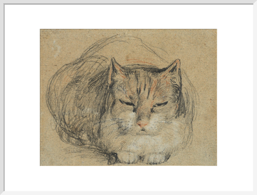 Cat - study for 'The Cut Finger' (art print, extra large, white)
