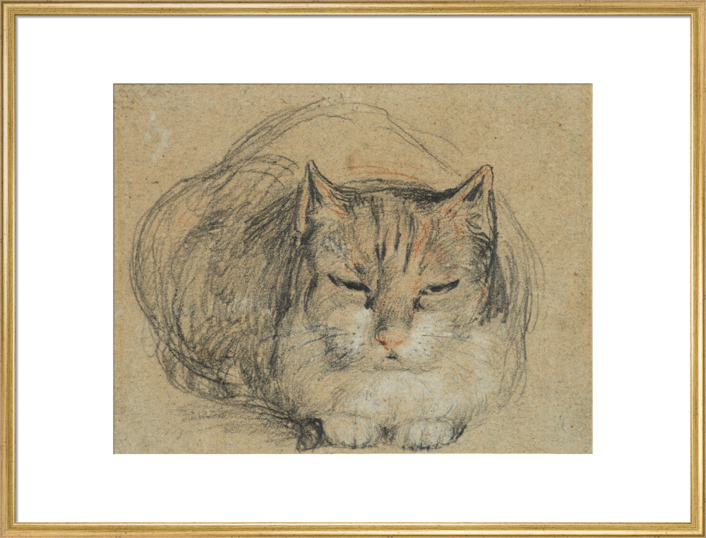 Cat - study for 'The Cut Finger' (art print, extra large, gold)