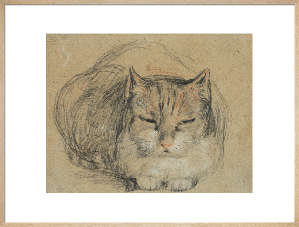 Cat - study for 'The Cut Finger' (art print, extra large, natural)