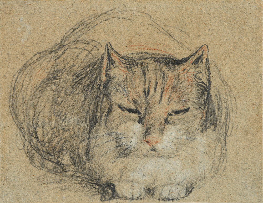 Cat - study for 'The Cut Finger'