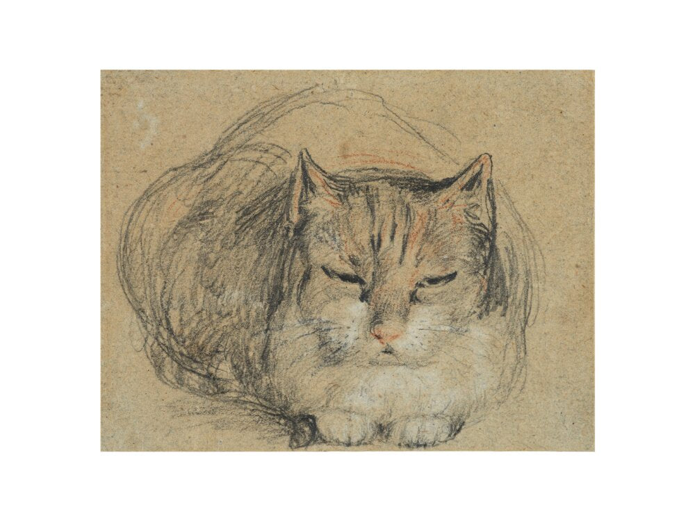 Cat - study for 'The Cut Finger' (art print, small, unframed)