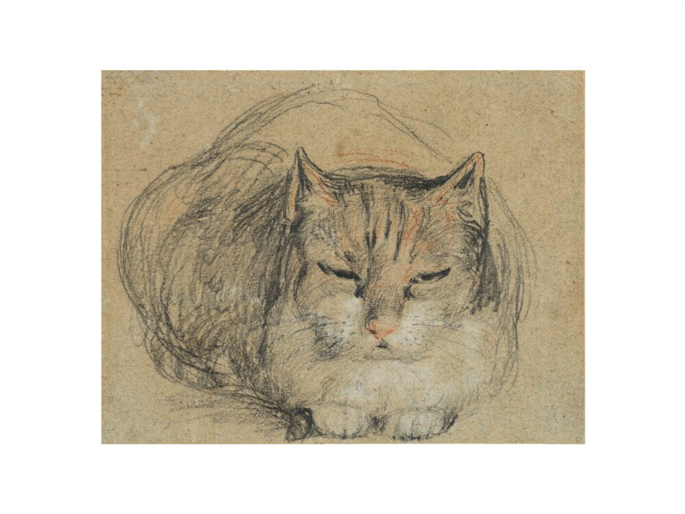 Cat - study for 'The Cut Finger' (art print, large, unframed)