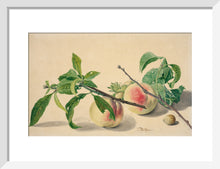 Load image into Gallery viewer, Michiel van Huysum, Still life with peaches and hazlenuts
