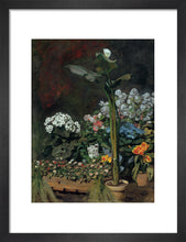 Load image into Gallery viewer, Lily and Greenhouse Plants, 1864
