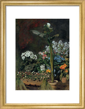 Load image into Gallery viewer, Lily and Greenhouse Plants, 1864

