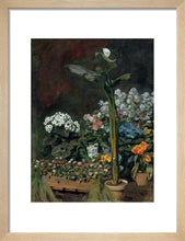 Load image into Gallery viewer, Lily and Greenhouse Plants, 1864
