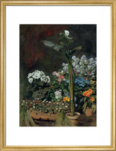 Load image into Gallery viewer, Lily and Greenhouse Plants, 1864
