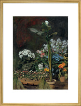 Load image into Gallery viewer, Lily and Greenhouse Plants, 1864
