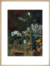Load image into Gallery viewer, Lily and Greenhouse Plants, 1864
