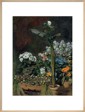 Load image into Gallery viewer, Lily and Greenhouse Plants, 1864
