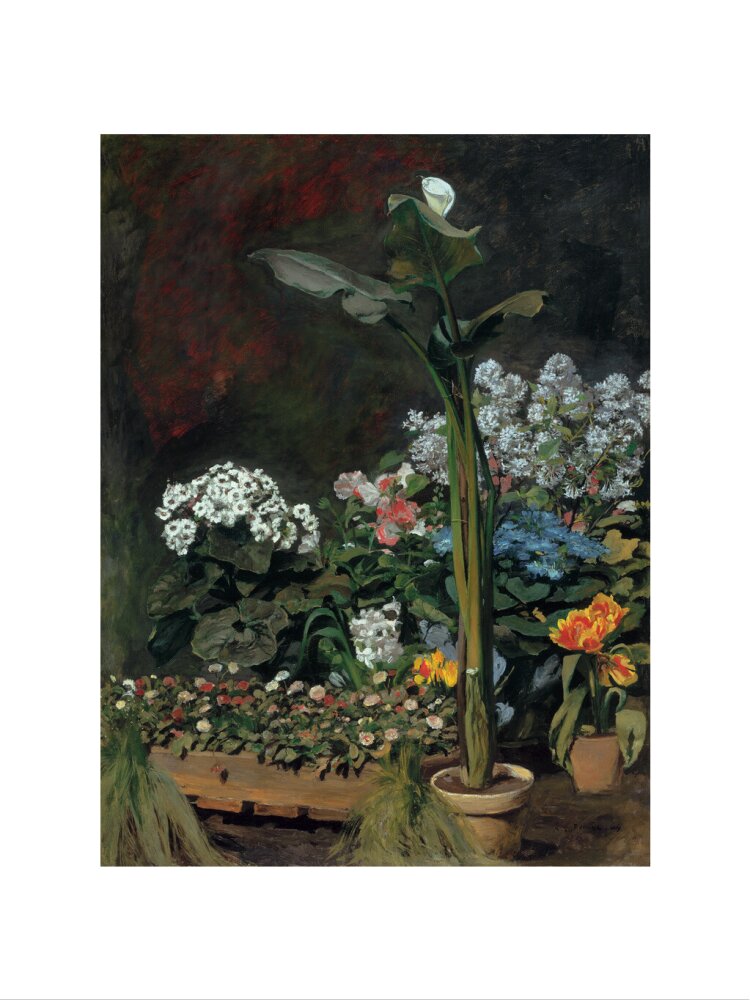 Lily and Greenhouse Plants, 1864