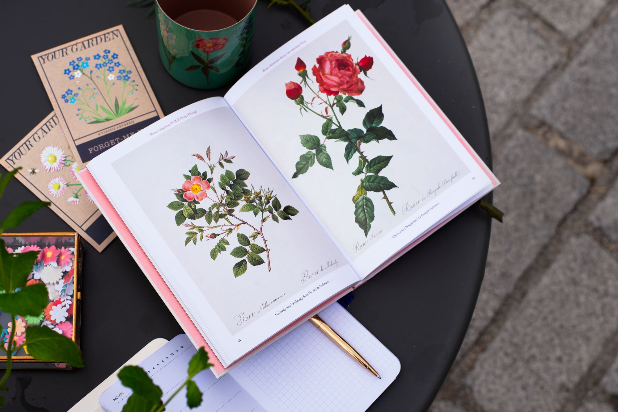 Open book with floral illustrations on a black surface