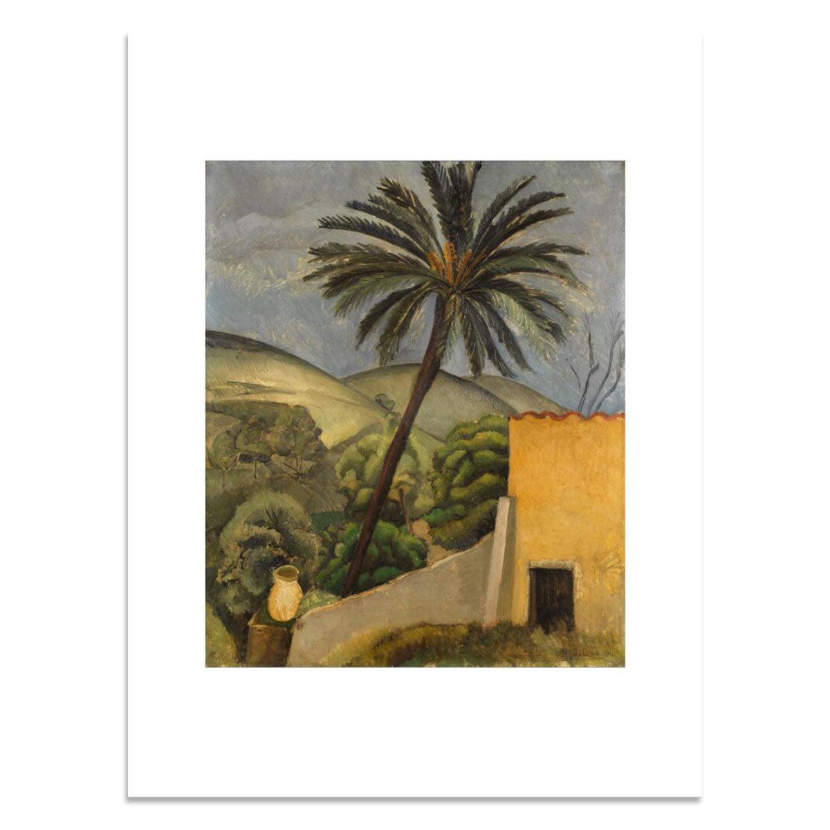 Palm Tree