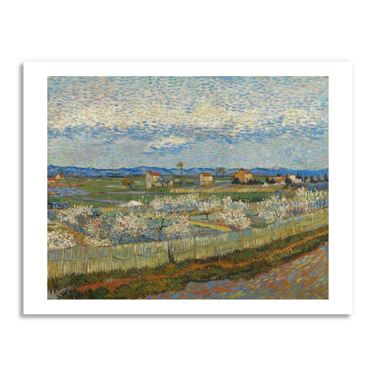 PC Vincent van Gogh Peach Trees in Blossom