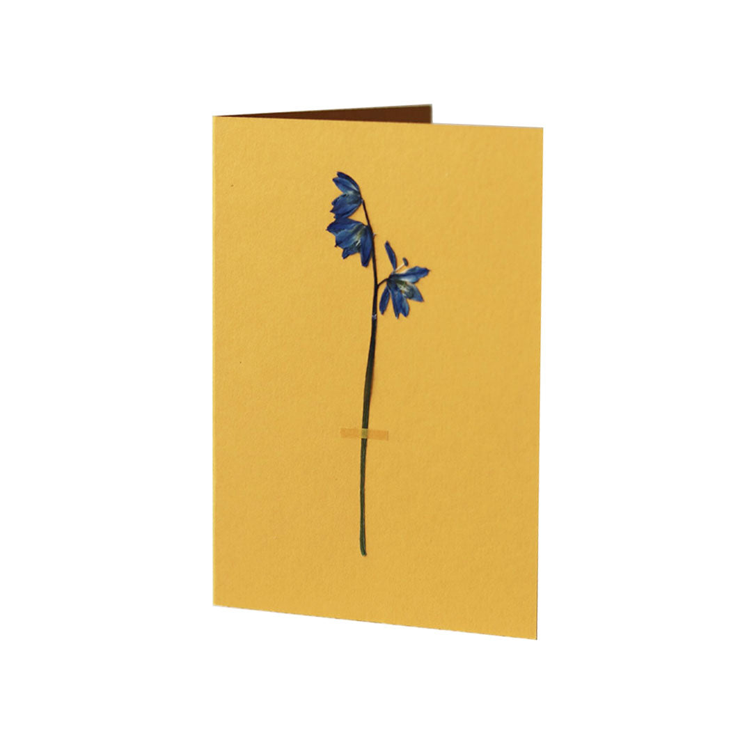 Pressed Flower Greetings Card Yellow