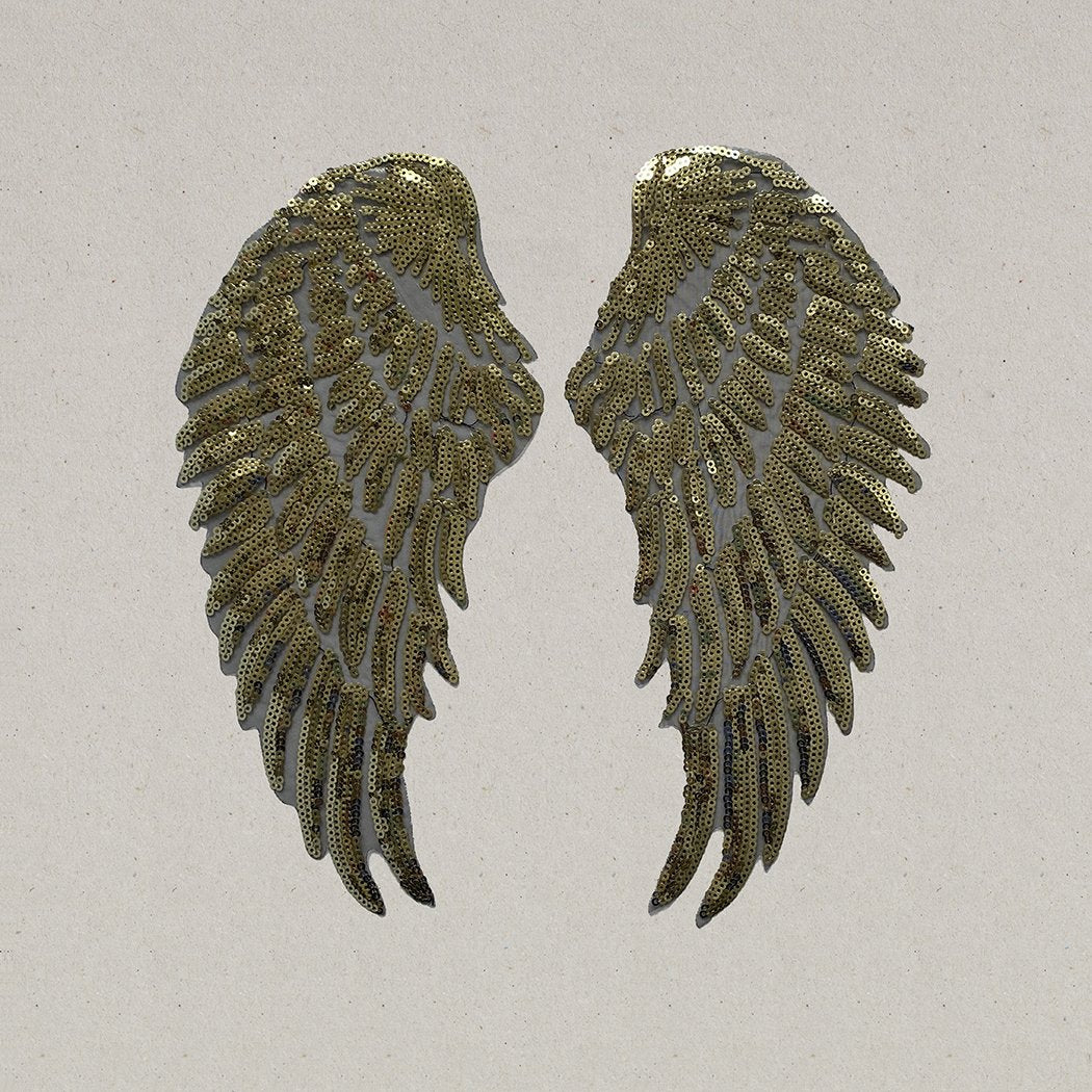 Iron on Patch Wings