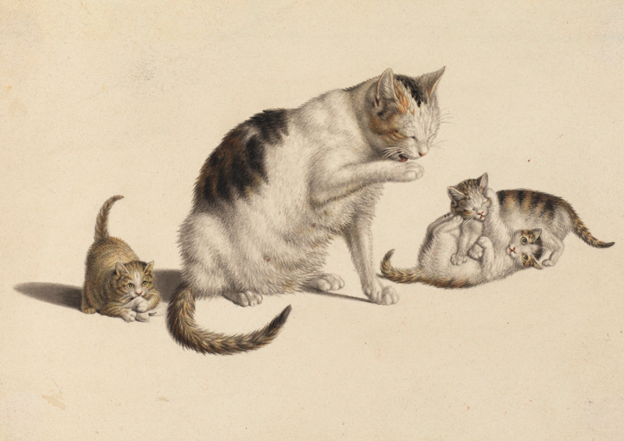 Mind Three Kittens Greetings Card