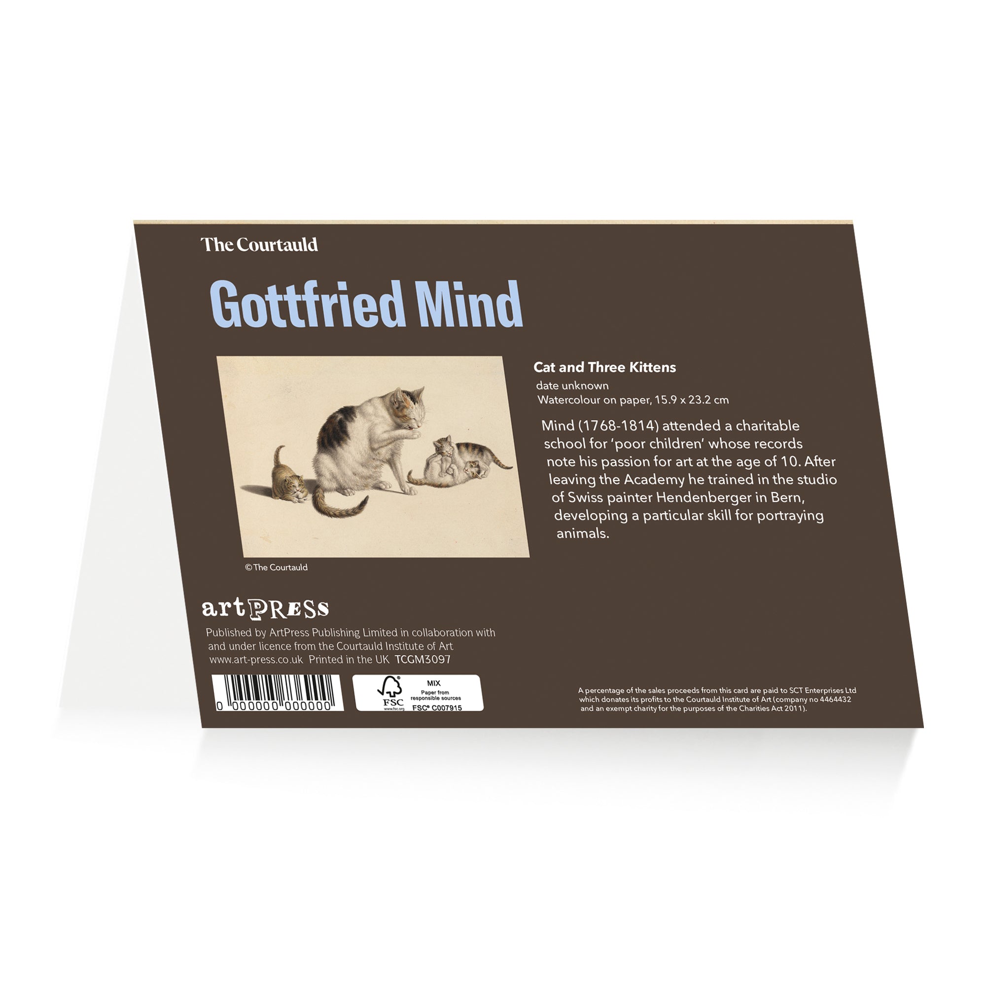 Mind Three Kittens Greetings Card