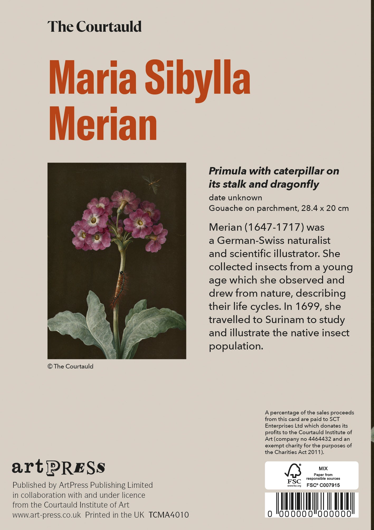 Merian Primula Greetings Card