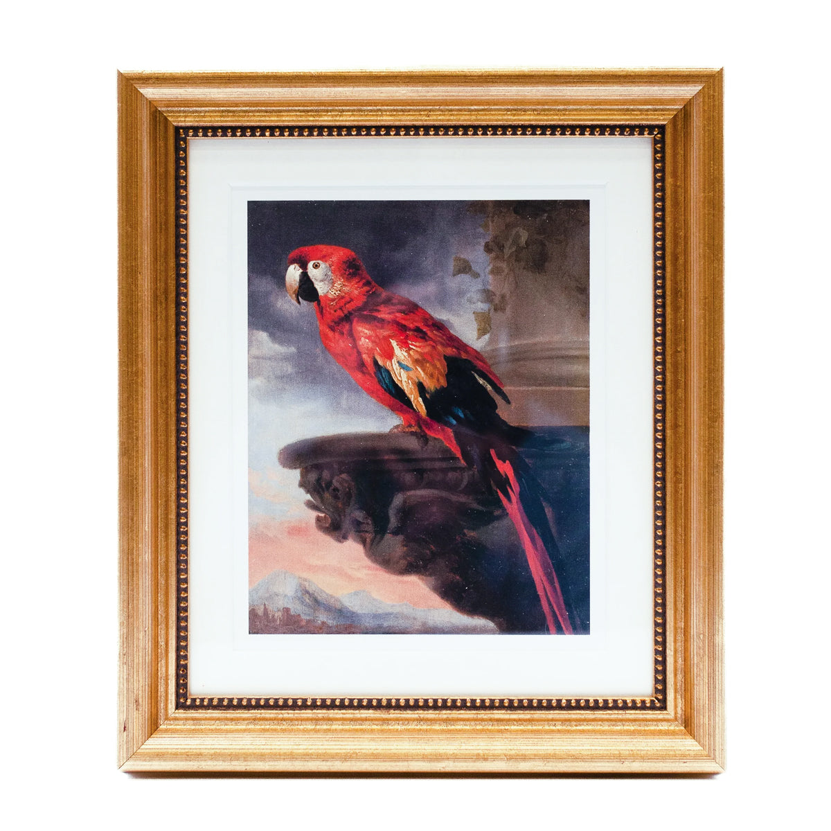 Framed Print Rubens Parrot