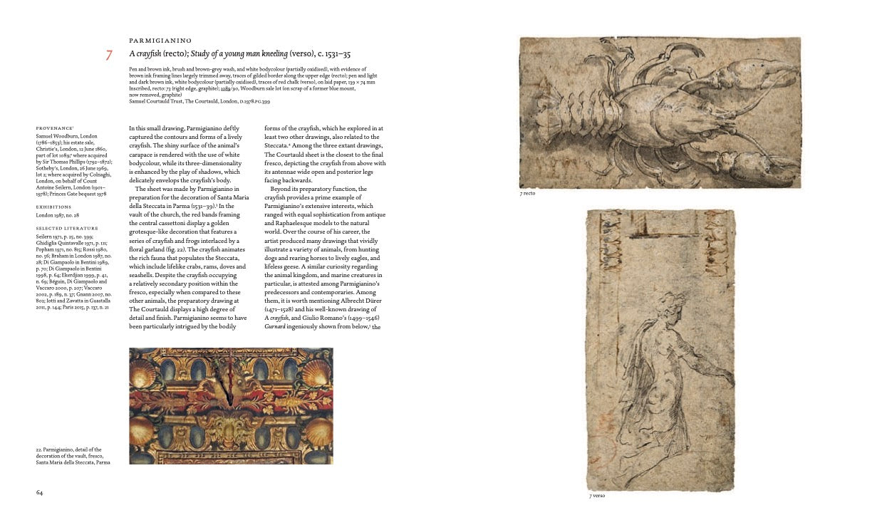 The Art of Experiment: Parmigianino at the Courtauld