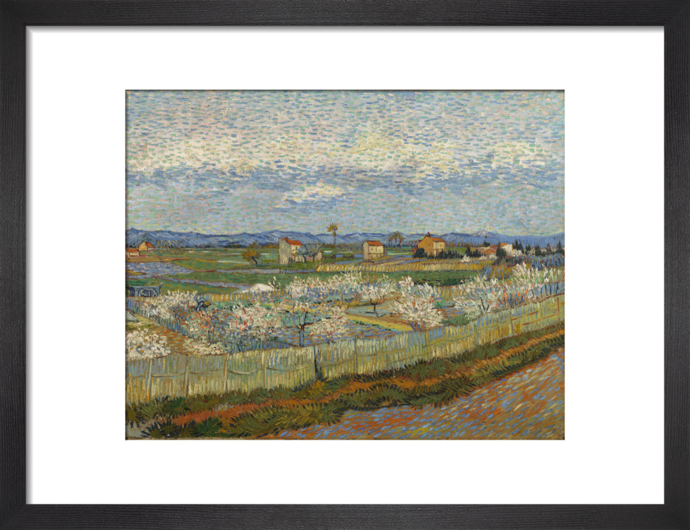 Vincent van Gogh, Peach Trees, Framed, Black, Small